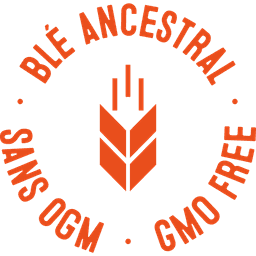 Ancestral wheat, GMO free